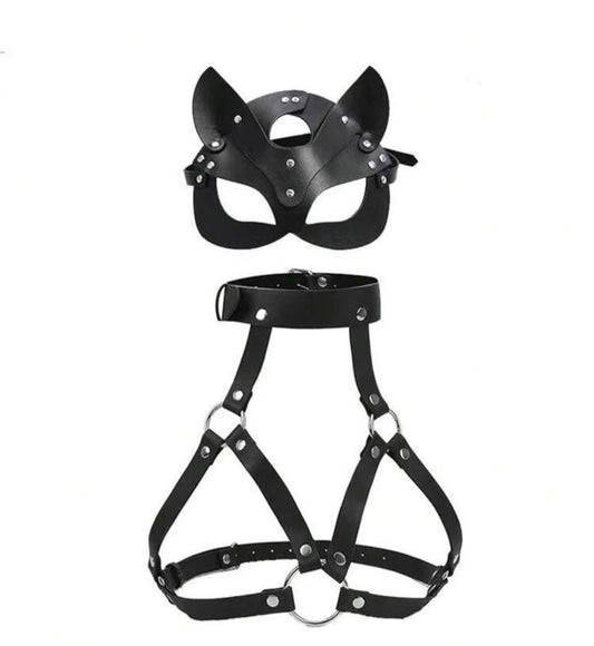 Cat mask and harness